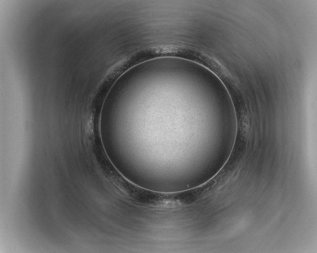 X0000112980543200908271145