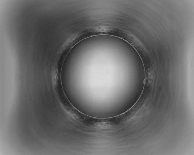 X0000112980544200908271145