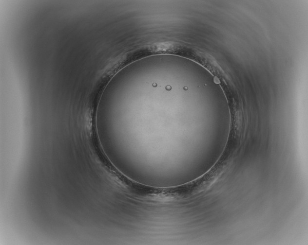 X0000112980545200908271145