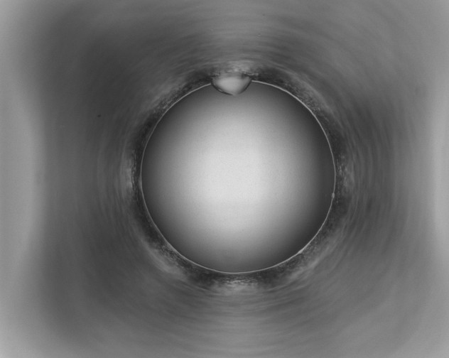 X0000112980546200908271145