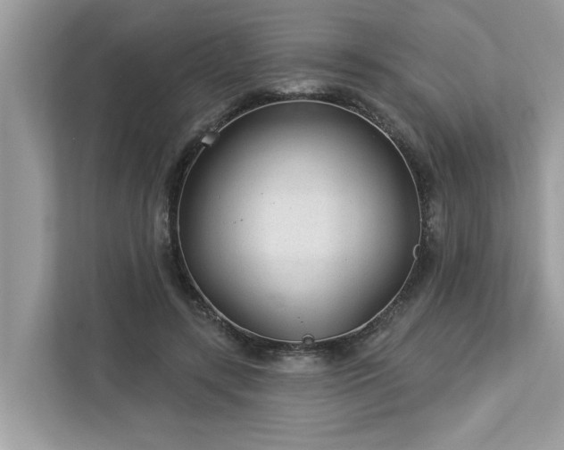 X0000112980547200908271145