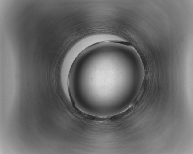 X0000112980548200908271145