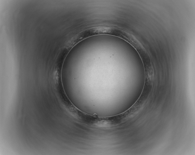 X0000112980551200908271145