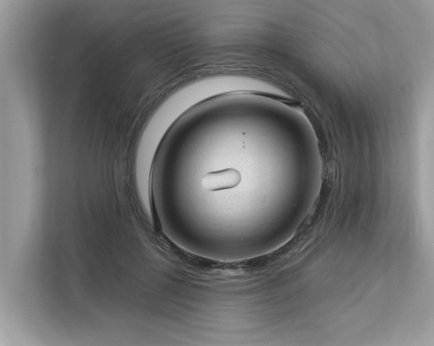 X0000112980552200908271145