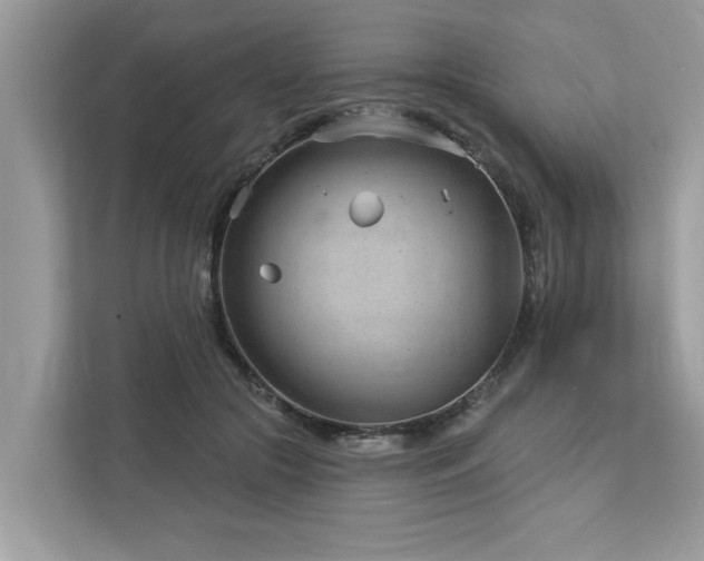 X0000112980553200908271145
