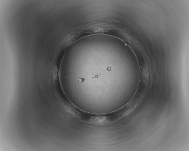 X0000112980554200908271145
