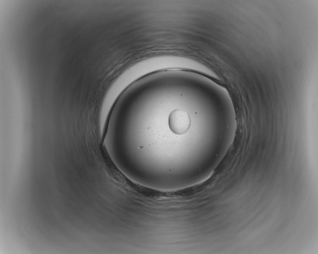 X0000112980556200908271145