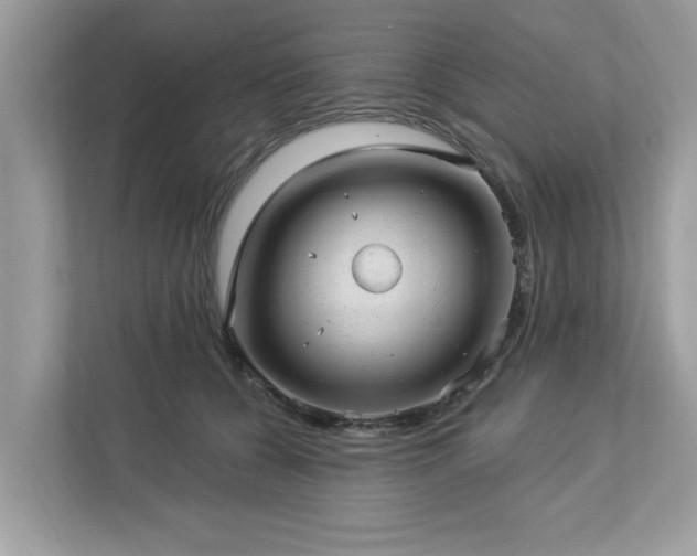 X0000112980560200908271145