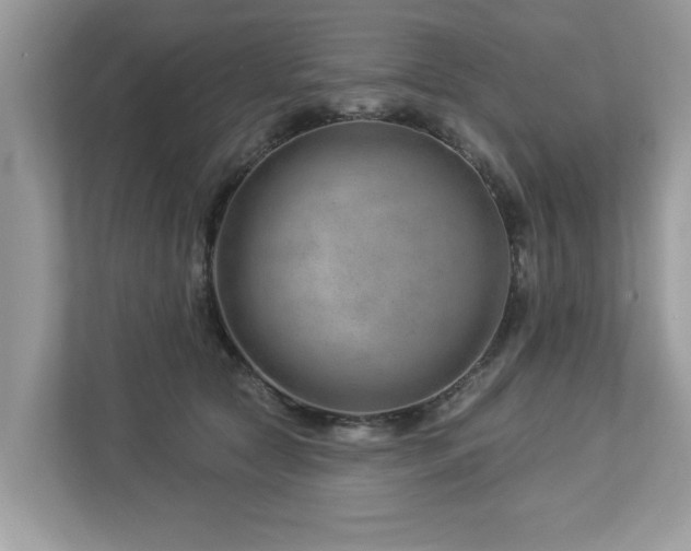 X0000112980561200908271145