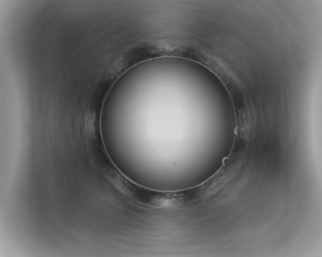 X0000112980563200908271145
