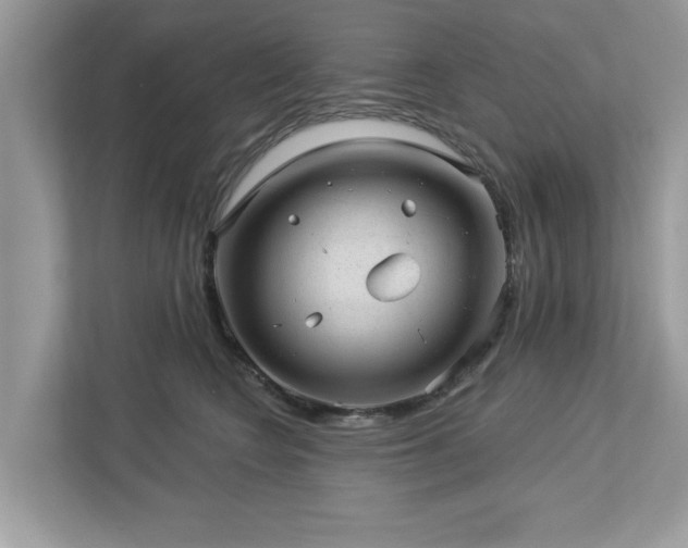 X0000112980566200908271145