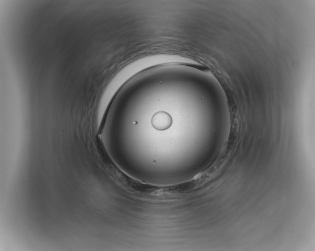X0000112980568200908271145
