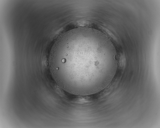 X0000112980569200908271145