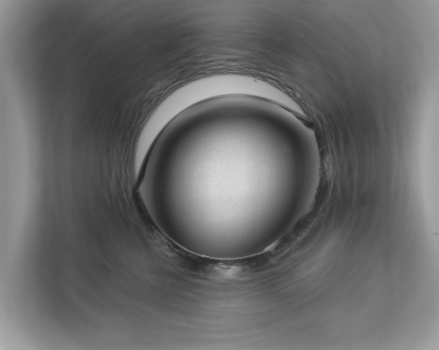 X0000112980570200908271145