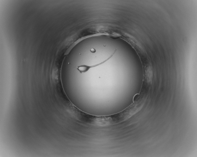 X0000112980571200908271145
