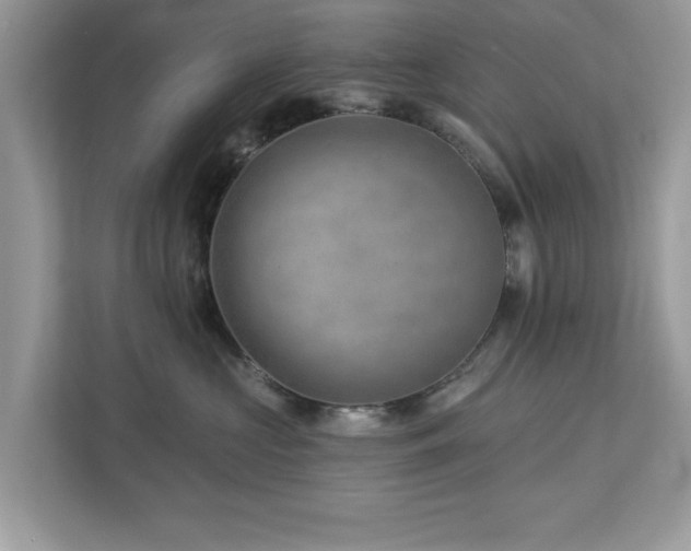 X0000112980573200908271145