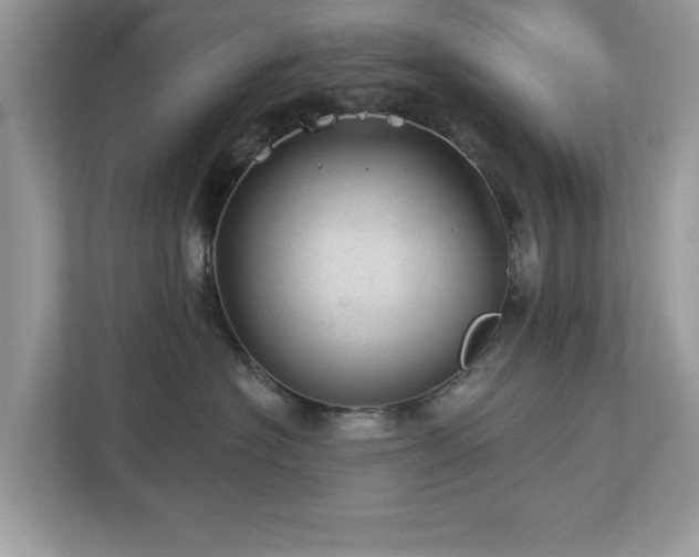 X0000112980574200908271145