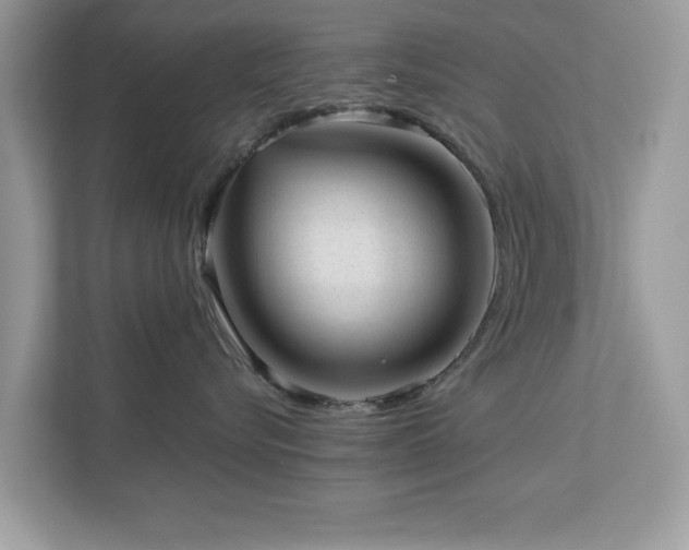 X0000112980576200908271145
