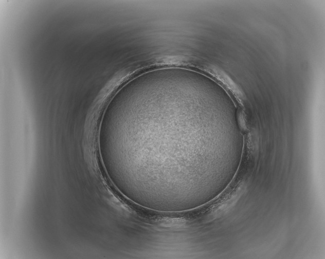 X0000112980577200908271145