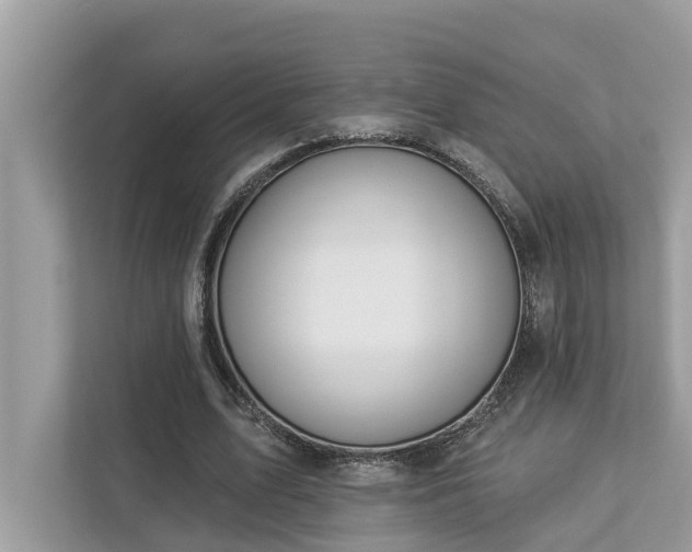 X0000112980583200908271145