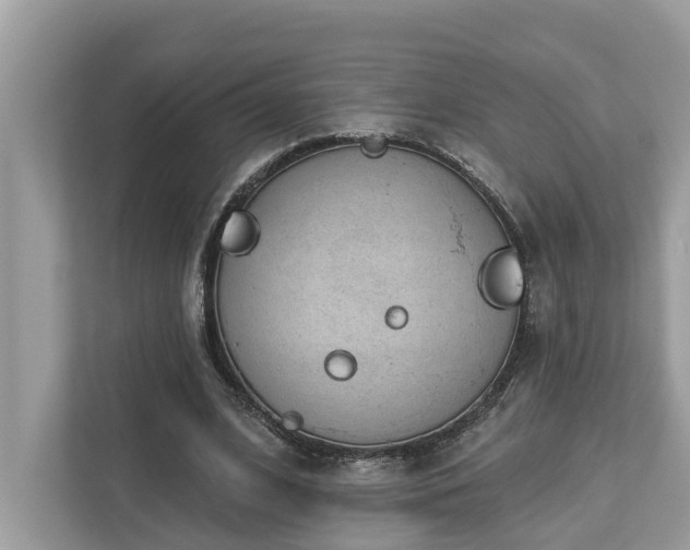 X0000112980584200908271145