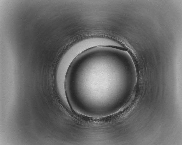 X0000112980585200908271145