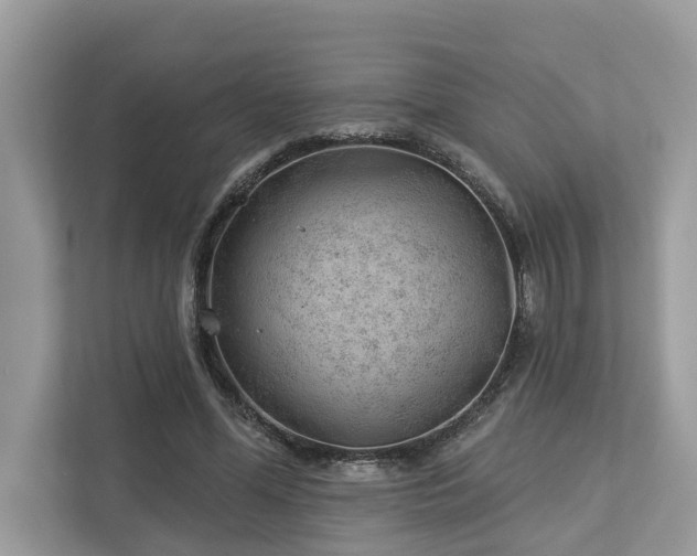 X0000112980588200908271145