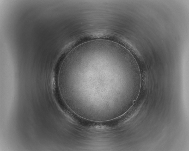 X0000112980590200908271145