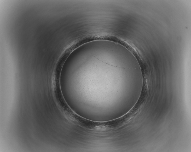 X0000112980591200908271145