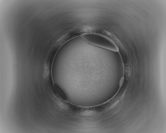X0000112980593200908271145