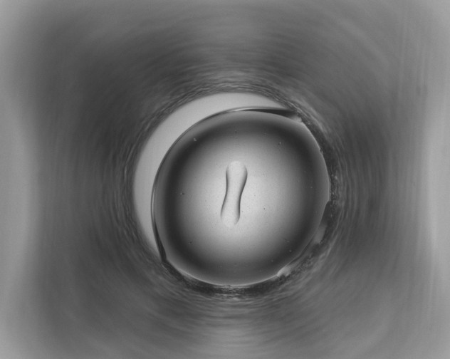 X0000112980597200908271145