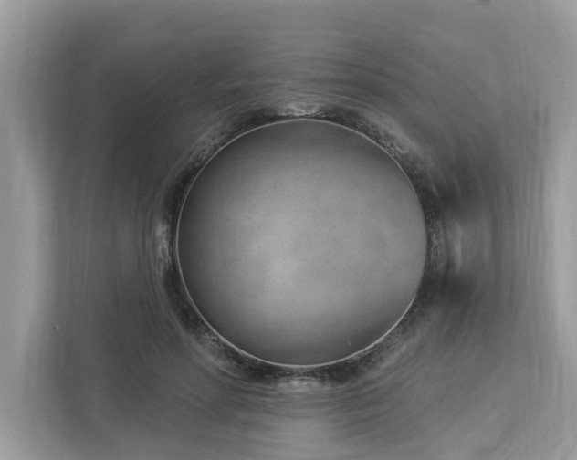 X0000112980598200908271145