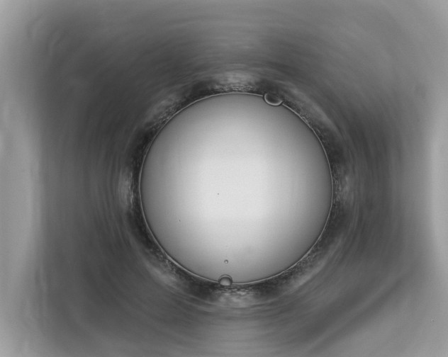 X0000112980599200908271145