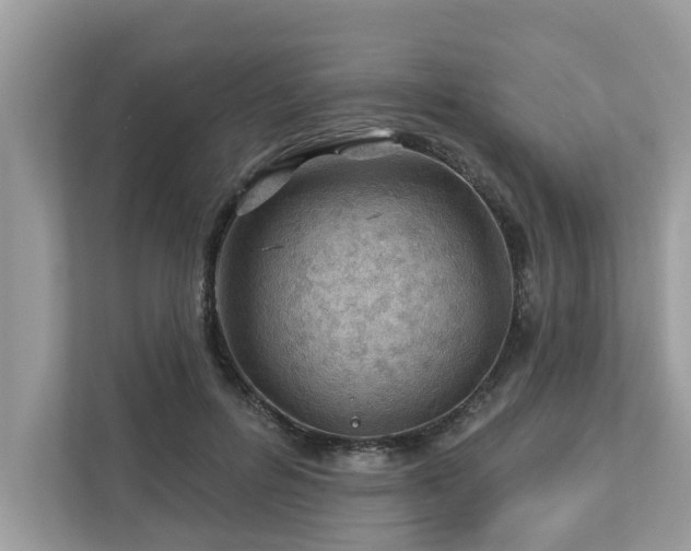 X0000112980600200908271145