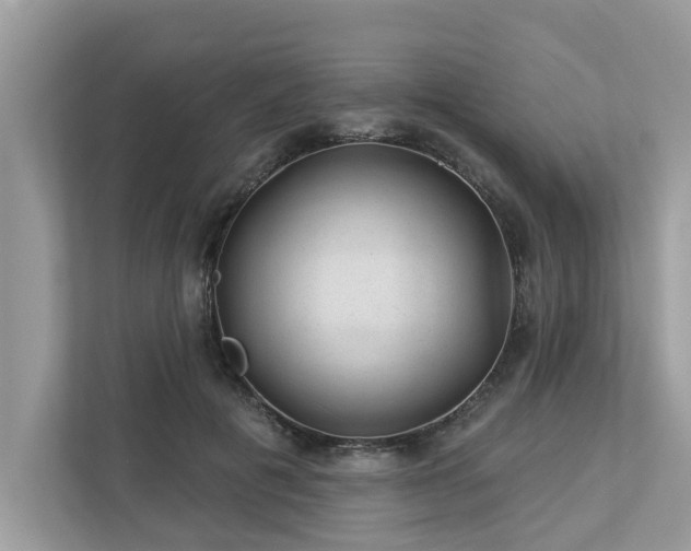 X0000112980601200908271145