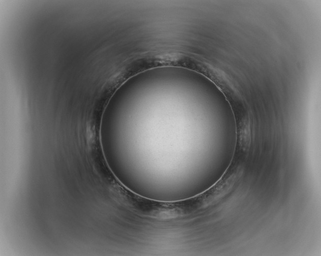 X0000112980608200908271144
