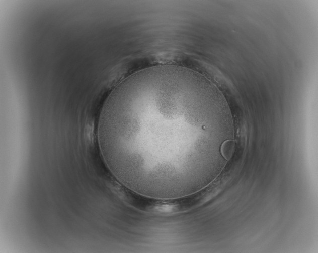 X0000112980610200908271144