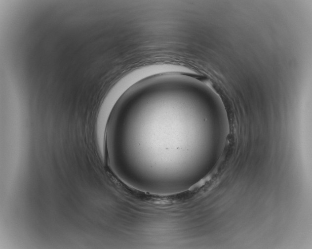 X0000112980611200908271144