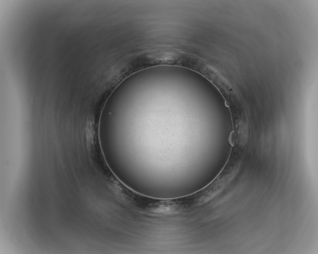 X0000112980612200908271144