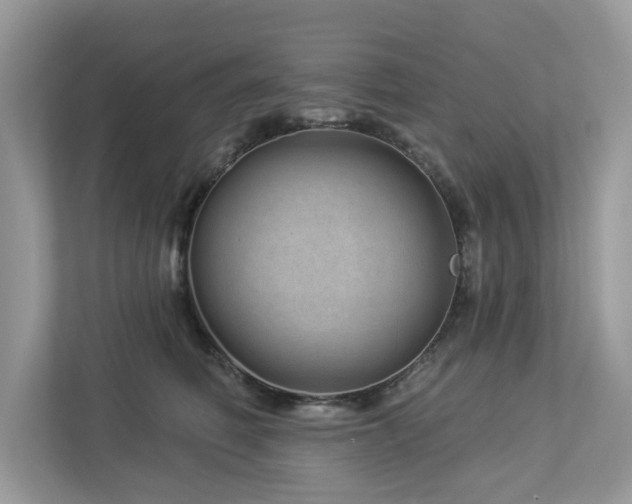 X0000112980614200908271144