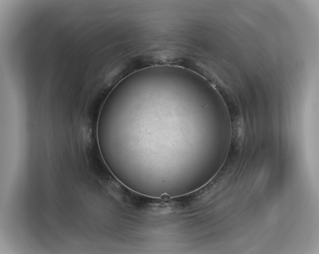 X0000112980615200908271144
