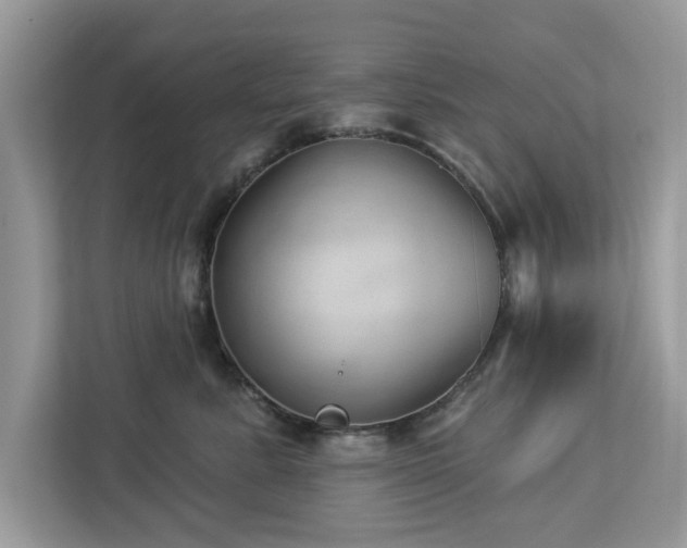 X0000112980619200908271144