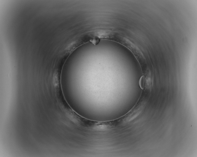 X0000112980620200908271144