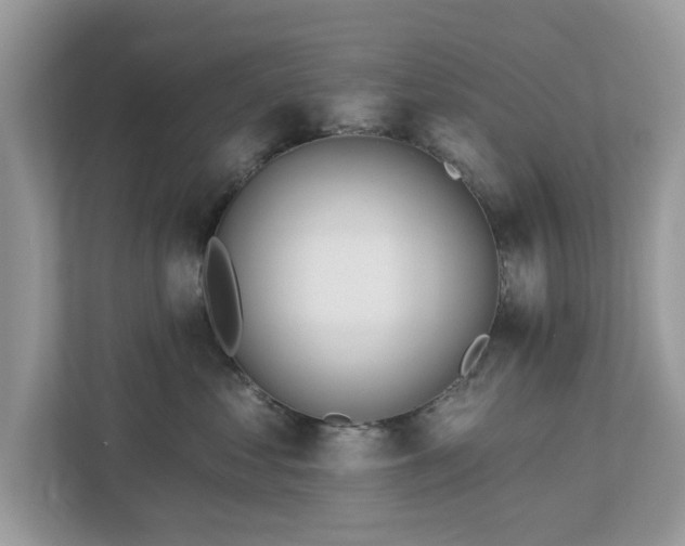 X0000112980621200908271144
