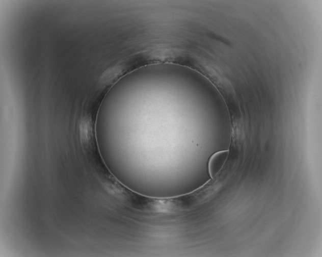 X0000112980623200908271144