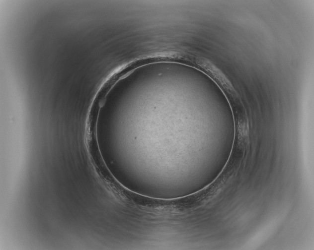 X0000112980628200908271144