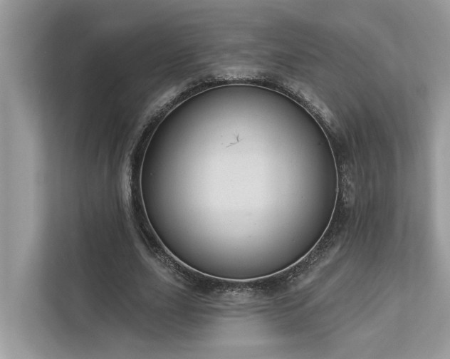 X0000112980631200908271144