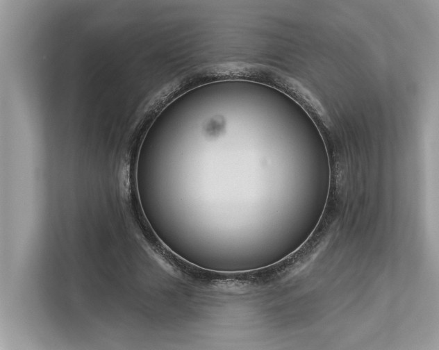 X0000112980633200908271144