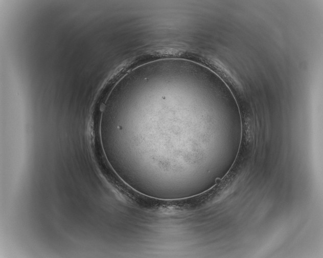 X0000112980634200908271144