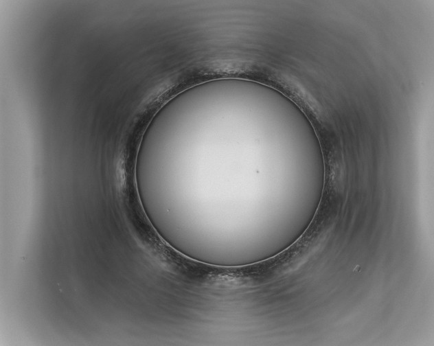 X0000112980635200908271144